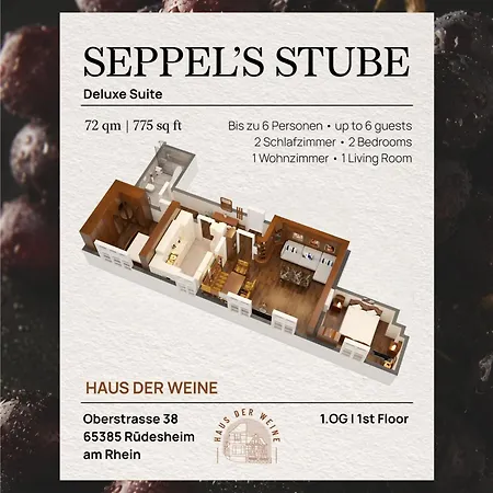 Haus Der Weine