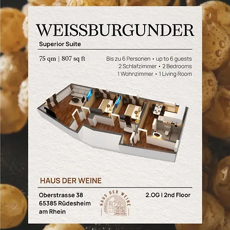 Haus Der Weine *