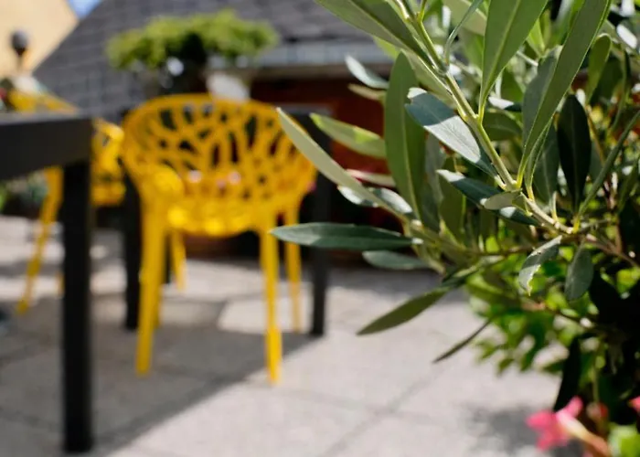 Appartement Haus Der Weine Rüdesheim am Rhein